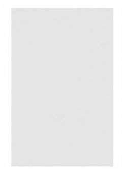 OCA плівка для Samsung Galaxy Note 10 Plus N975