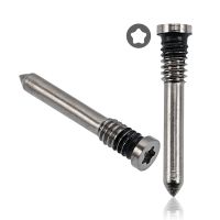 Гвинтики для iPhone 15 Pro / iPhone 15 Pro Max / iPhone 16 Pro / iPhone 16 pro max Natural Titanium (нижні 2шт)