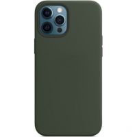 Чохол (Sillicon Case) для iPhone 12 Pro Max Cyprus Green
