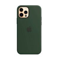 Чохол (Leather Case) для iPhone 12 Pro Max with magsafe Pine Green