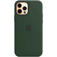 Чохол (Sillicon Case) для iPhone 12 / iPhone 12 Pro with magsafe and splash Cyprus Green