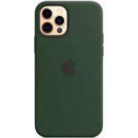 Чохол (Sillicon Case) для iPhone 12 Pro Max with magsafe Cyprus Green