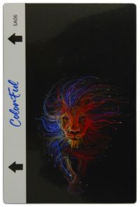 Гідрогелева плівка для задньої частини ColorFul SA06